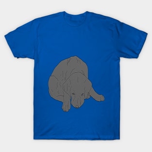 Black Labrador saying Sorry T-Shirt